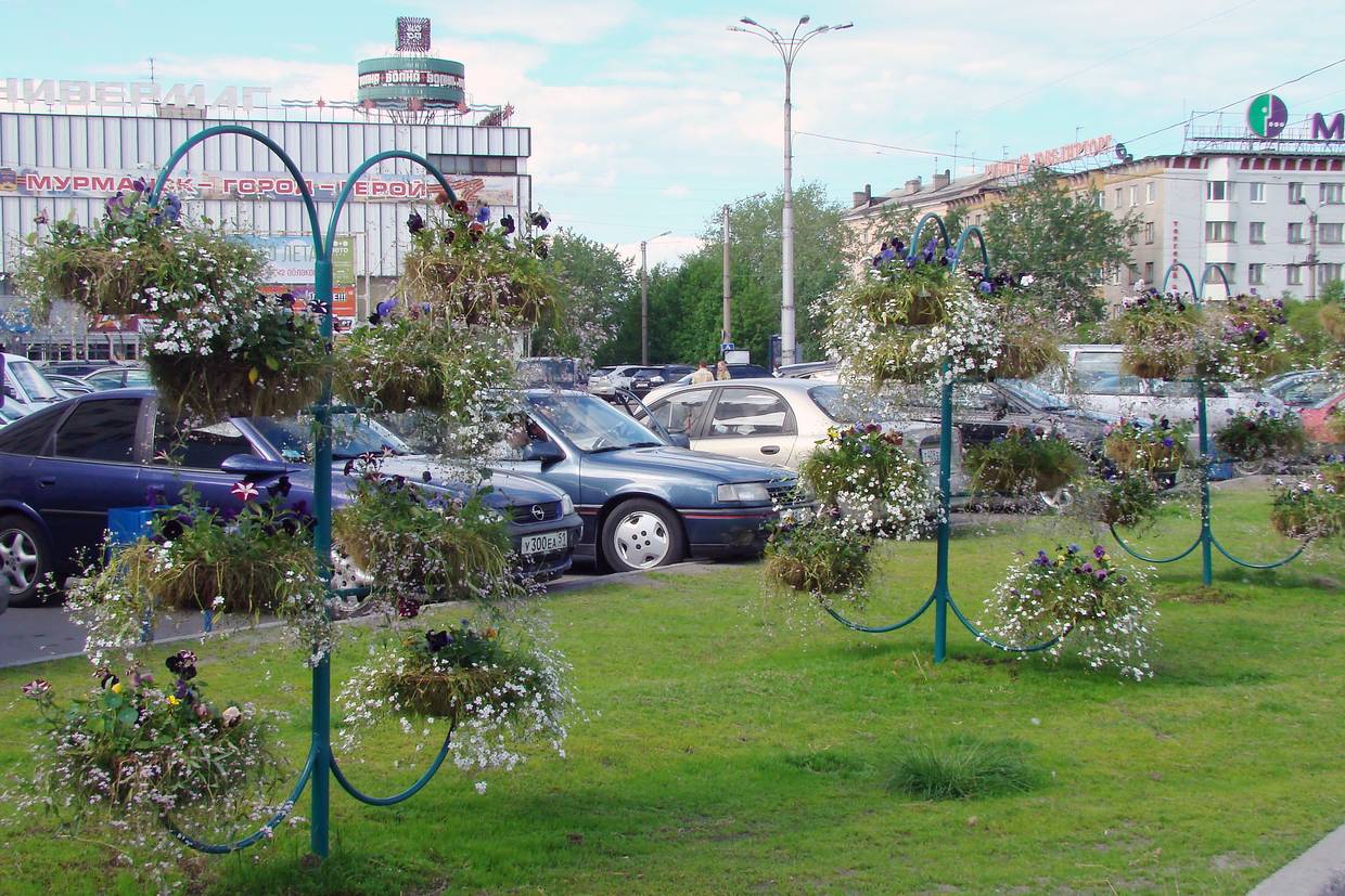 ОЗЕЛЕНЕНИЕ ГОРОДОВ НА КОЛЬСКОМ СЕВЕРЕ — Лексикон КС