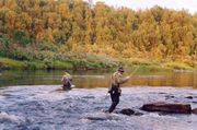 Лицензионный лов на р. Печенга, 17-й км. Фото М. В. Борисенко. Архив В. А. Мацак 