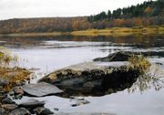 Река Поной в нижнем течении Фотоархив А. Даниловского 
