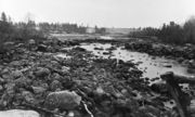 Бывшее русло реки Алла (Аккайоки). Фото 1962. Архив В. А. Мацак 