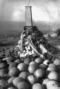 Братская могила советских воинов на высоте 258.3, где погибли 1156 чел. Архив л. Журина 