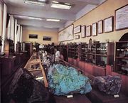 Коллекция минералов в Геологическом музее Фото С. Майстермана. Из кн.: Майстерман С. А. Хибины 