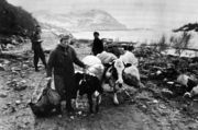 По окончании боев норвежские жители возвращаются в родные места Из фондов МИНО 