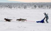 Учения 80-й арктической бригады СФ. 2016 Фото Л. Федосеева // ТАСС 