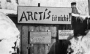 «Арктика — пустяк!» Andreas Weinberger. Das gelbe Edelweiss 