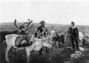 Саамы в оленьем стаде. 1929 г. Фото В. В. Чарнолуского 